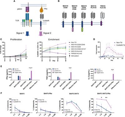 Signaling via a CD28/CD40 chimeric costimulatory antigen receptor (CoStAR™), targeting folate receptor alpha, enhances T cell activity and augments tumor reactivity of tumor infiltrating lymphocytes